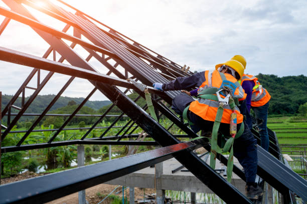 Best Roof Gutter Cleaning  in Midway, UT